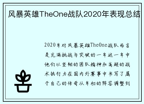 风暴英雄TheOne战队2020年表现总结